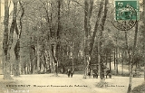 Remiremont. - Kiosque et Promenade du Calvaire